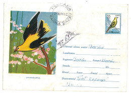 IP 61 - 0411y Bird, ORIOLE, Romania - Stationery ( Little Fixed Stamp ) - Used - 1961 - Interi Postali