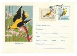 IP 61 - 0411r Bird, ORIOLE - Stationery ( Big Fixed Stamp ) - Used - 1961 - Enteros Postales