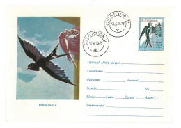 IP 61 - 0411m Bird, SWALLOW CHICKS IN NEST, Romania - Stationery ( Big Fixed Stamp ) - Used - 1961 - Entiers Postaux