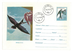 IP 61 - 0411m Bird, SWALLOW CHICKS IN NEST, Romania - Stationery ( Big Fixed Stamp ) - Used - 1961 - Enteros Postales