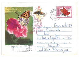 IP 61 - 0411x-a BUTTERFLY, Big Fixed Stamp, Romania - REGISTERED Stationery - Used - 1961 - Postwaardestukken