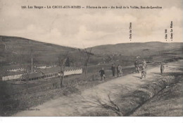 LA CROIX AUX MINES 556 AU FOND DE LA VALLEE  BAN DE LAVELINE  DOS VERT - Sonstige & Ohne Zuordnung