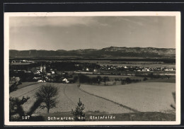 AK Schwarzau Am Steinfelde, Panoramaansicht Der Stadt  - Altri & Non Classificati
