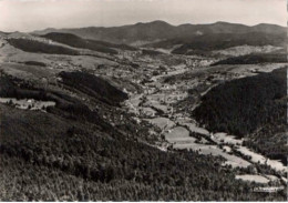 VALLÉE De MUNSTER. -  Vue De L'Altenberg.   -  Non Circulée - Munster