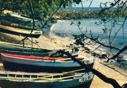 1 AK Réunion Island * Barques De Peche A Terre-Sainte - Fischerboote An Land * - Reunión