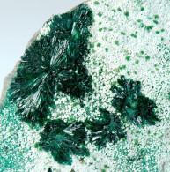Mineral - Atacamite (La Farola Mine, Cerro Pintado, Tierra Amarilla, Atacama, Chile) - Lot.931 - Mineralen