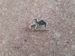 Pin's Camel - Dromadaire - Palmier - Animaux