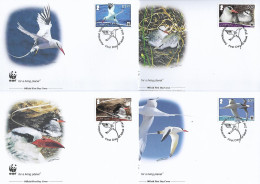 ASCENSION  2011 4 FDC WWF-OISEAUX YVERT N°1038/1041 - FDC