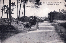 85 - Vendée - SAINT JEAN De MONTS - Entrée De La Foret - Saint Jean De Monts