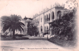 Algerie  - ALGER - Mustapha Superieur - Palais Du Gouverneur - Alger
