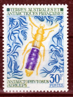 TAAF    51  Insecte 1973 25% De Cote   Neuf ** MNH Sin Charmela Cote 25 - Unused Stamps