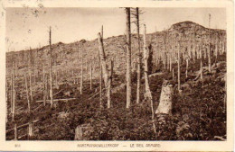 68 - HARTMANSWILLERKOPF - LE VIEIL ARMAND - Edit. BRAUN Et Cie - Otros & Sin Clasificación