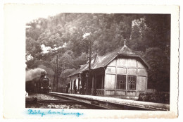 RO 81 - 16136 VADU CRISULUI, Bihor, Railway Station, Romania - Old Postcard, Real PHOTO - Used - 1940 - Romania