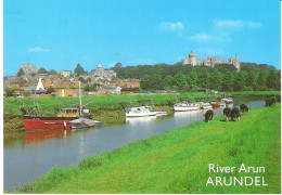 ARUNDEL FROM THE RIVER ARUN, WEST SUSSEX, ENGLAND. UNUSED POSTCARD Ms1 - Arundel