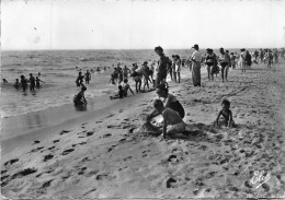 MO-24-331 : VIEUX-BOUCAU. PLAGE - Vieux Boucau