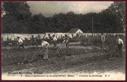 33 - B28265CPA - BLANQUEFORT - Ecole D' Agriculture - Travaux De Jardinage - Très Bon état - GIRONDE - Blanquefort