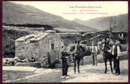 66 - T28068CPA - PRATS DE MOLLO - La Fontaine Du Pont - Muletiers Espagnols - Très Bon état - PYRENEES-ORIENTALES - Altri & Non Classificati