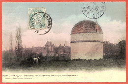 33 - B27743CPA - DAIGNAC - Chateau De Pressac Et Ses Dépendances - Très Bon état - GIRONDE - Autres & Non Classés