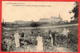 24 - B29873CPA - ECHOURGNAC - Religieux Cultivant La Vigne - Vue Générale De La Trappe - Très Bon état - DORDOGNE - Autres & Non Classés