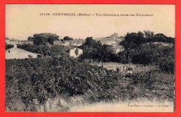 33 - B29150CPA - VERTHEUIL - Vue Generale Prise Des Vignobles. Petite Animation - Très Bon état - GIRONDE - Other & Unclassified