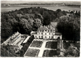 77 - M29021CPM - CHAMPEAUX - En Avion Au Dessus  Château - Bon état - SEINE-ET-MARNE - Other & Unclassified