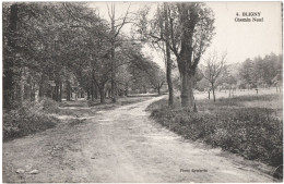 CPA DE BLIGNY  (ESSONNE)  CHEMIN NEUF - Briis-sous-Forges