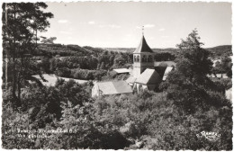 CPSM DE BOISSY-LA-RIVIÈRE  (ESSONNE)  VUE GÉNÉRALE - Boissy-la-Rivière