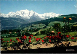 Panorama Sur La Massif Du MONT BLANC. -    -    Non Circulée. - Chamonix-Mont-Blanc