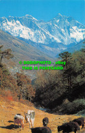 R527807 Nu Tse. Mt. Everest. Lho Tse. Cottage Industries And Handicrafts Emporiu - World