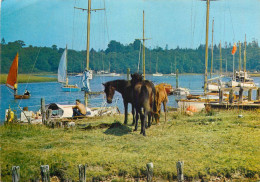 Navigation Sailing Vessels & Boats Themed Postcard Bucklers Hard - Zeilboten