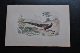 Gravure Couleurs (27,5 X 18 Cm) Buffon XIXè Le Faisan Ornithologie Décor De Château - Stampe & Incisioni