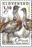 Slovakia 2011 The Nature Conservancy Rare Birds Great Bustard (Otis Tarda) Stamp MNH - Ongebruikt
