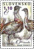 Slovakia 2011 The Nature Conservancy Rare Birds Great Bustard (Otis Tarda) Stamp MNH - Sonstige & Ohne Zuordnung