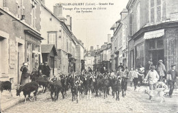 45 - CHATILLON-COLIGNY : Grande Rue, Passage D'un Troupeau De Chèvres Des Pyrénées - Chatillon Coligny