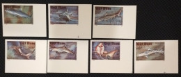 Vietnam Viet Nam MNH Imperf Stamps 1991 : Shark (Ms616) - Viêt-Nam