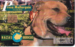 P-426 Nº8 PRESA MALLORQUIN DE LA SERIE RAZAS CANINAS IBERICAS DE TIRADA 5300 (PERRO-CAN-DOG) - Privatausgaben