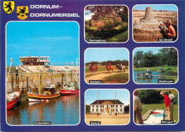 Navigation Sailing Vessels & Boats Themed Postcard Dornum Kutterhafen - Segelboote