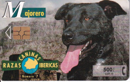 P-425 Nº7 MAJORERO DE LA SERIE RAZAS CANINAS IBERICAS DE TIRADA 5300 (PERRO-CAN-DOG) - Privé-uitgaven
