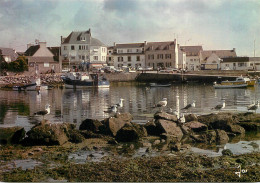 Navigation Sailing Vessels & Boats Themed Postcard Bretagne Lesconil - Sailing Vessels