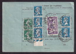 DDGG 036 - Bulletin D'Expédition TP Pasteur, Semeuse Et Merson BISCHWILLER 1926 Vers ZURICH Via BASEL Suisse - 1922-26 Pasteur