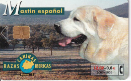 B-091 TARJETA DE ESPAÑA DEL PERRO MASTIN ESPAÑOL - Emisiones Básicas