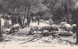 18-BOURGES UN COIN DU MARCHE AUX COCHONS - Bourges