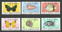 Caribbean 1974 Year , Used Stamps Butterfly - Oblitérés