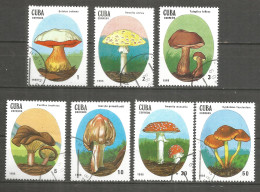 Caribbean 1988 Year , Used Stamps Mushrooms - Usados