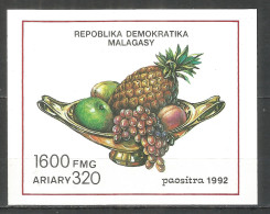 Malagasy Madagascar 1992 Year , Block Mint MNH  - Madagascar (1960-...)