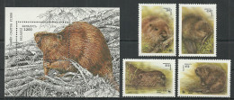 BELARUS Mint Stamps MNH(**), 1995-96 Year - Beavers - Bielorussia