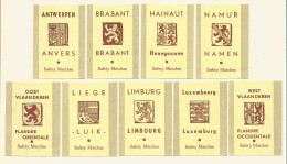 Belgium 9 Old Matchbox Labels  - Boites D'allumettes - Etiquettes