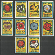 Belgium 10 Old Matchbox Labels Flowers - Scatole Di Fiammiferi - Etichette