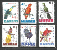 Belgium 1962 Mint Stamps MNH(**)  Parrot - Nuevos