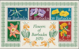 THEMATIC FLORA:  FLOWERS OF BARBADOS.  MINNIE ROOT, EASTER LILY, EYELASH ORCHID, PRIDE, CHRISTMAS HOPE - MS -  BARBADOS - Autres & Non Classés